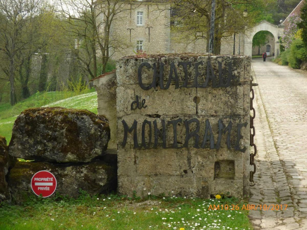 Chateau De Montrame Soisy-Bouy المظهر الخارجي الصورة
